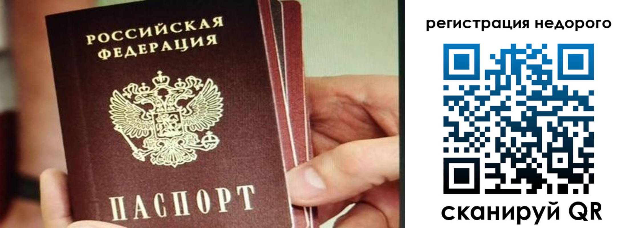 прописка в квартире в Фокино